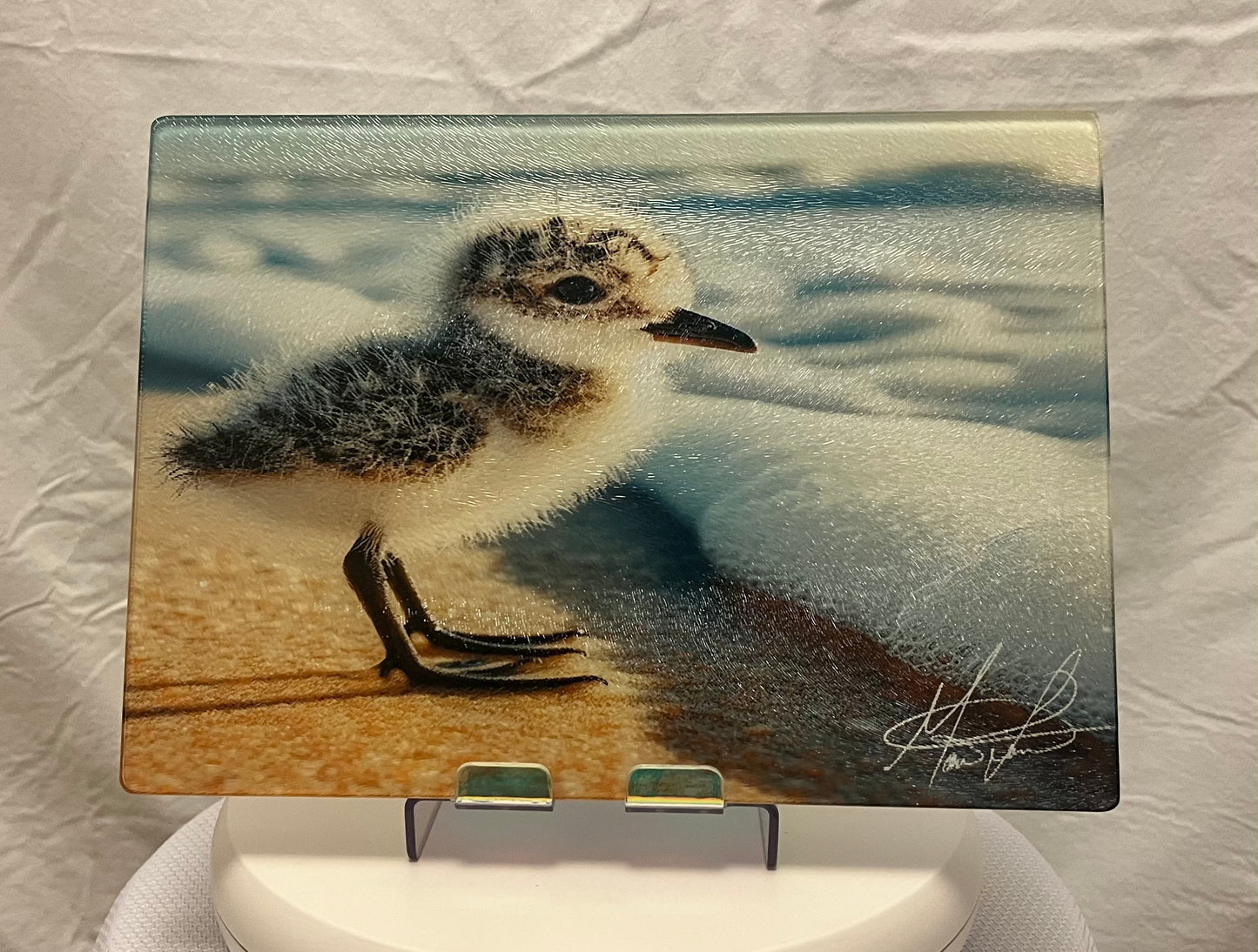 Sandpiper Glass Counter Saver