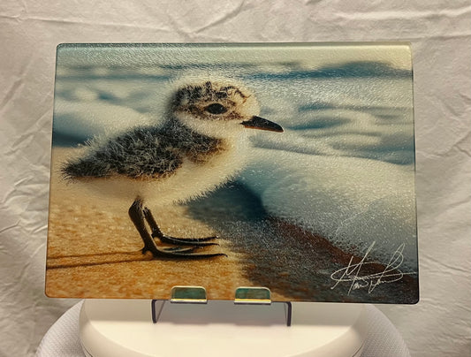 Sandpiper Glass Counter Saver