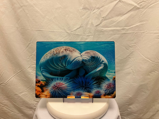 Mother Manatee Glass Counter Saver
