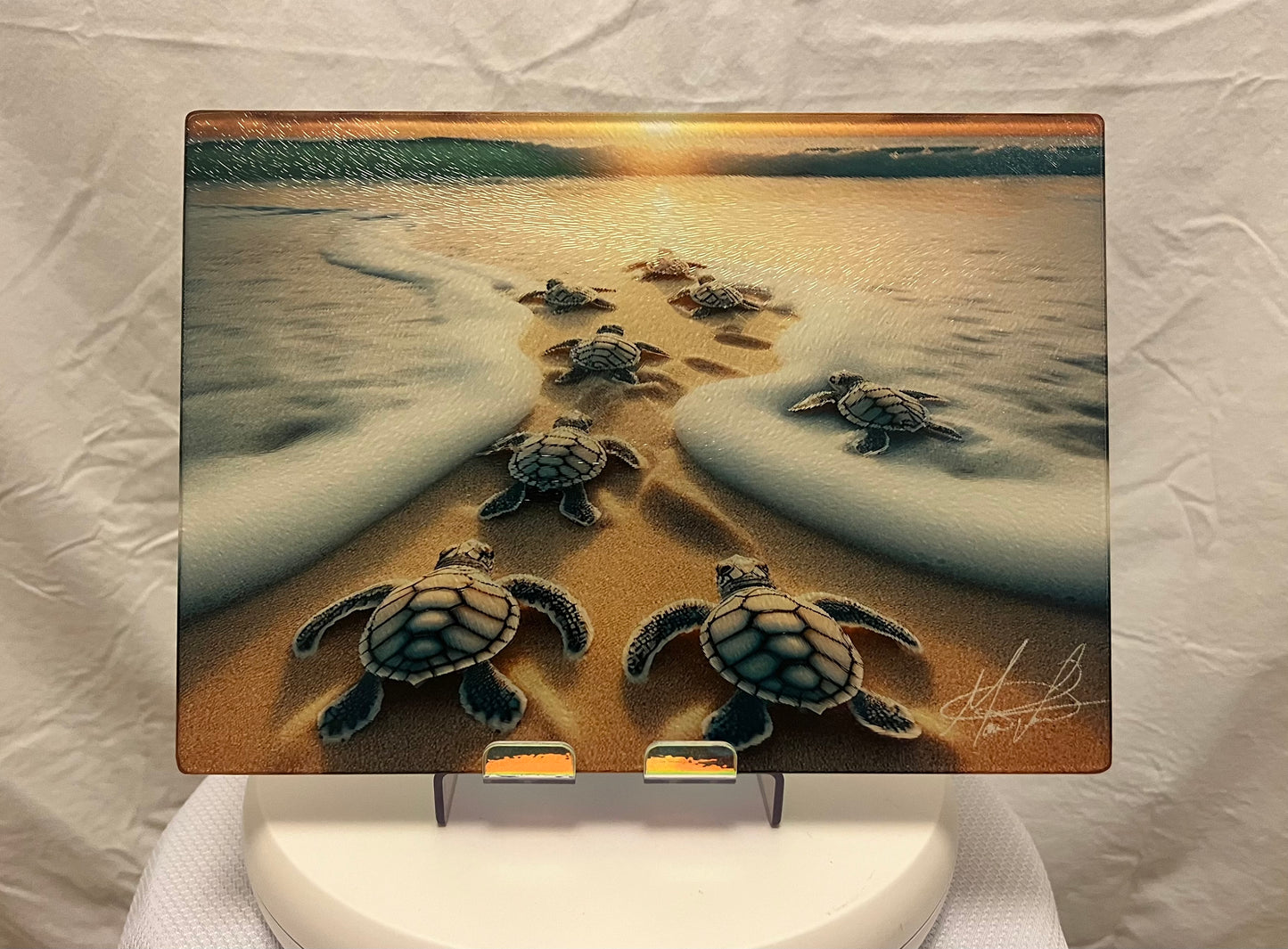 Sea Turtle Life Glass Counter Saver