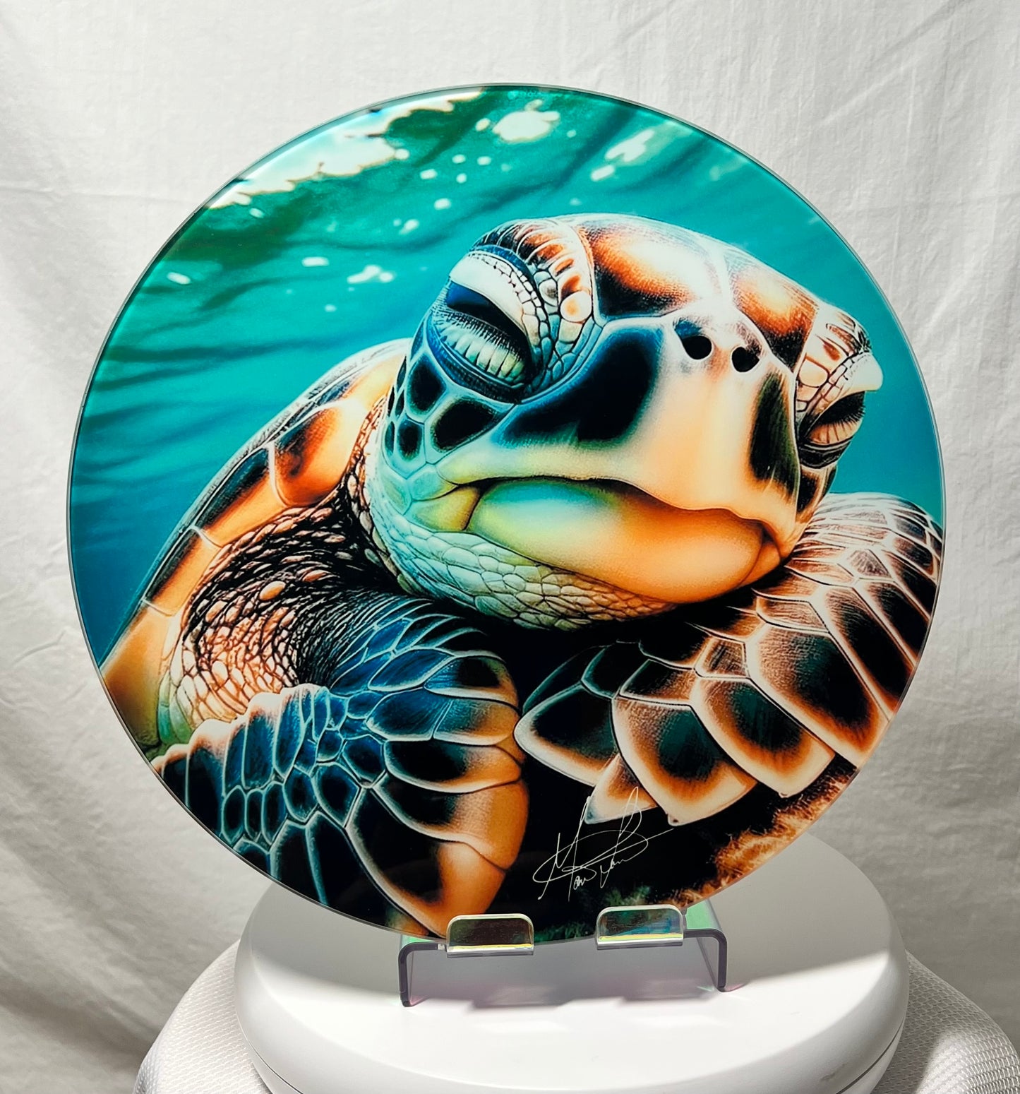 Sleeping Sea Turtle Glass Counter Saver