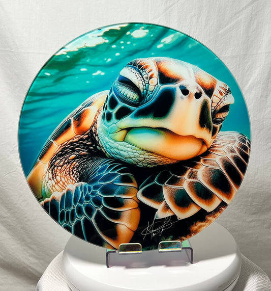 Sleeping Sea Turtle Glass Counter Saver