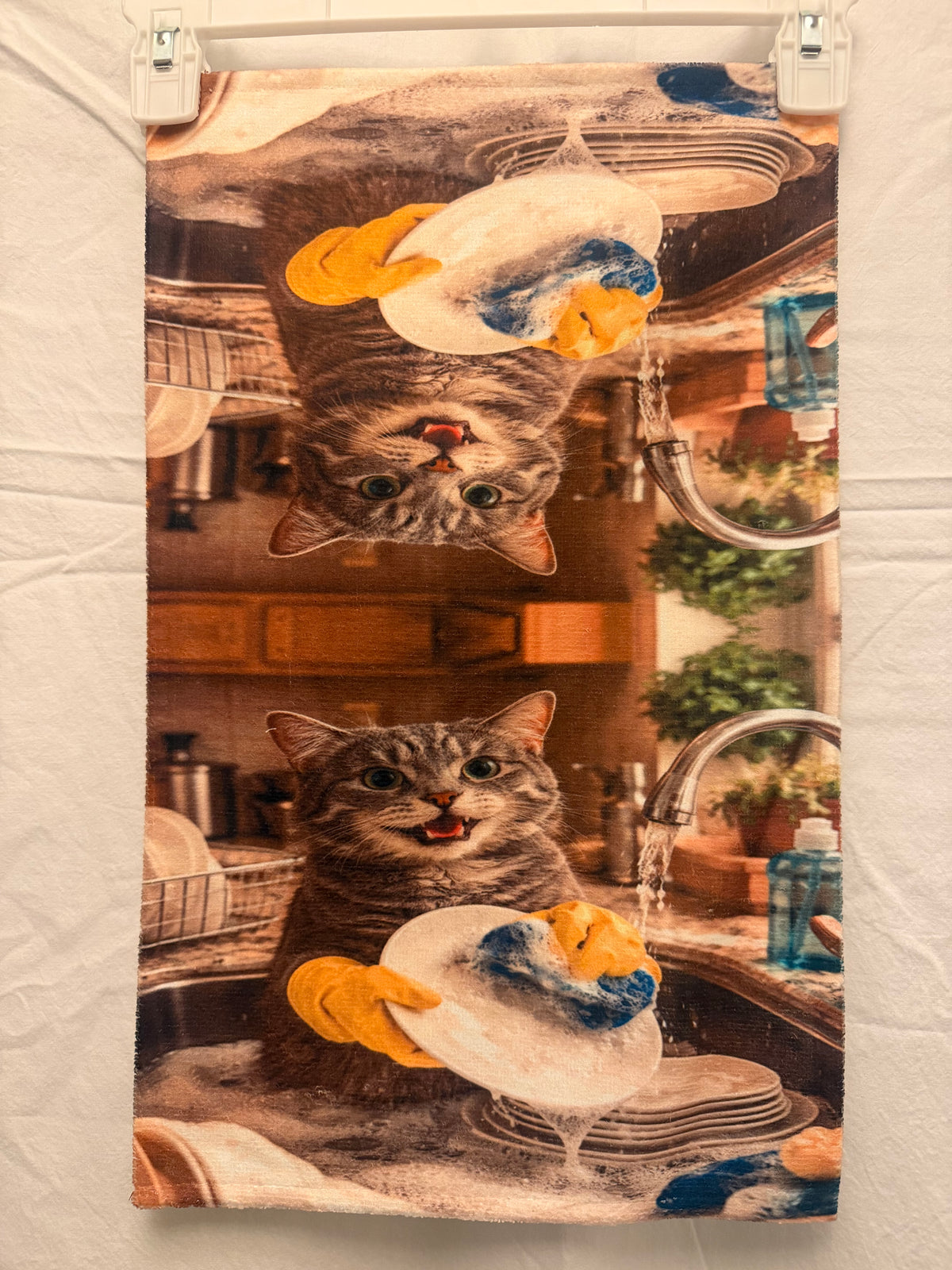 Funny Cat washing dishes hand towel
