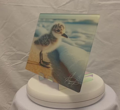 Sandpiper Glass Counter Saver