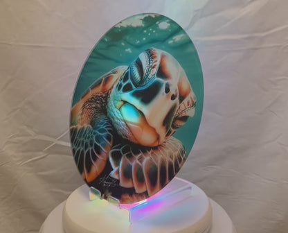 Sleeping Sea Turtle Glass Counter Saver
