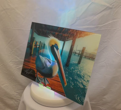 Pelican Glass Counter Saver